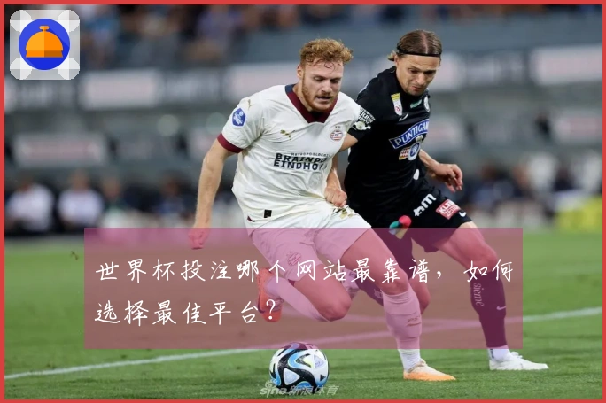 世界杯投注哪个网站最靠谱，如何选择最佳平台？