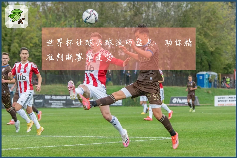 世界杯让球买球技巧盘点，助你精准判断赛事走势