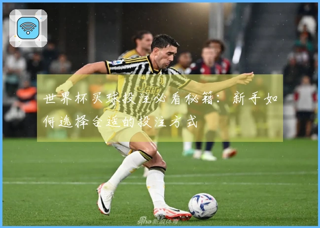 世界杯买球投注必看秘籍：新手如何选择合适的投注方式