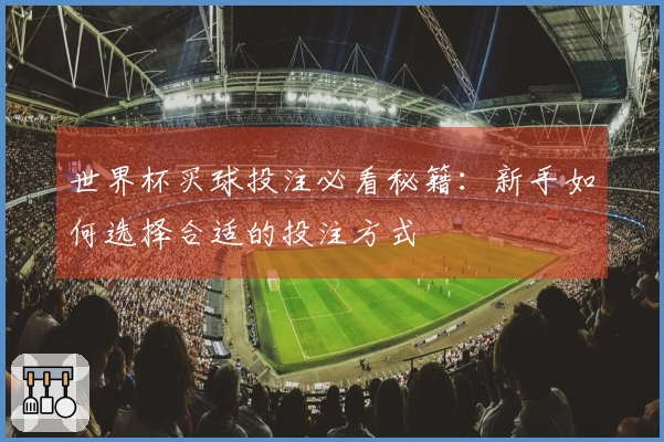 世界杯买球投注必看秘籍：新手如何选择合适的投注方式