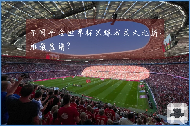 不同平台世界杯买球方式大比拼，谁最靠谱？