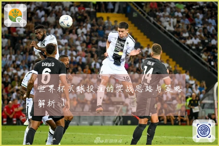 世界杯买球投注的实战思路与策略解析_1